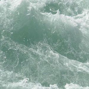 Meet your Posher, Lily